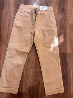 Style & Co Tan Capri Pants - Size 2